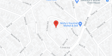Circle in google map