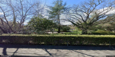 street view of Sheila's Homes