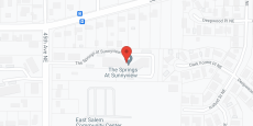 The Springs at Sunnyview in google map
