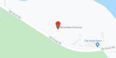 Alterra Wynwood of Emerson in google map