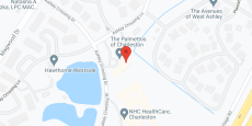 The Palmettos of Charleston in google map