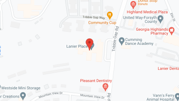 Lotus Village in google map