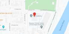 The Academy in google map