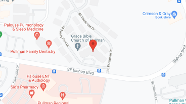 Ridge Pointe Retirement Comm in google map