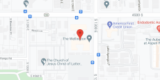 The Wellington in google map
