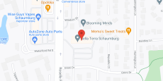 Bella Terra of Schaumburg in google map