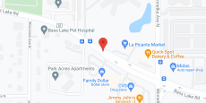 Saint Therese of New Hope in google map