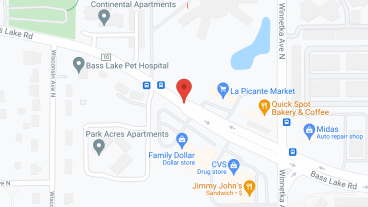 Saint Therese of New Hope in google map