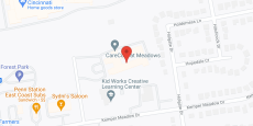 Meadows Health Care Center in google map