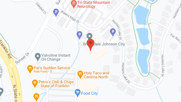 Wellington Place of Johnson City in google map