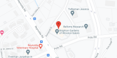 Brighton Gardens of Winston-Salem in google map
