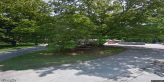 street view of Hamilton Manor Nursing Home