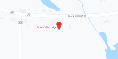 Johnson's Adult Home in google map