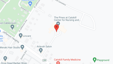 The Pines at Catskill Center for Nursing and Rehabilitation in google map