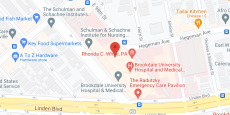 Samuel Schulman Rehab Inst in google map