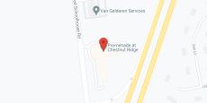 The Promenade at Chestnut Ridge in google map