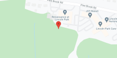 Lincoln Park Renaissance Rehab and Nursing Ce in google map