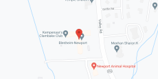 Blenheim-Newport in google map