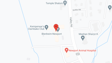 Blenheim-Newport in google map