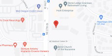 Stone Lodge in google map