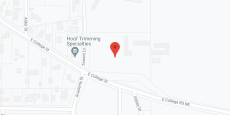 Mount Angel Towers in google map