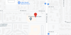 Village Health Care in google map