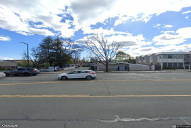 Walnut Creek Willows 