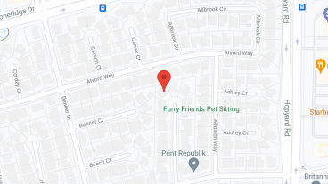 Serene Residential Care Fac in google map