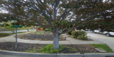 street view of GS Homes II