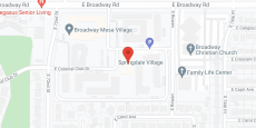 Springdale Village in google map