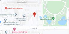 Allure of Palm Harbor in google map