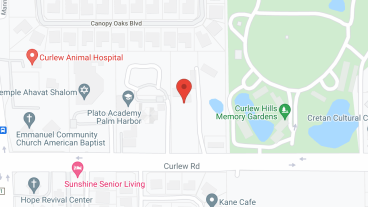 Allure of Palm Harbor in google map
