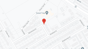 Good Tree in google map