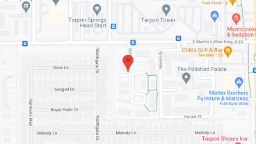 Tarpon Springs Manor Apartment in google map