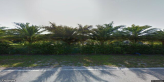 street view of Doc's Resort