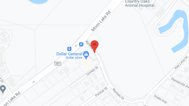 Wilson House in google map