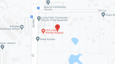 Oak Haven in google map