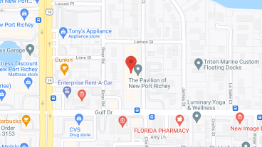 New Port Richey Center for Assisted Living in google map