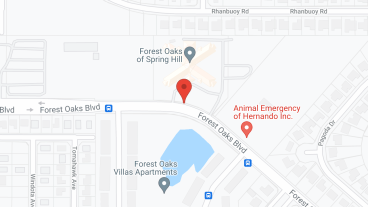 Elevated Estates Forest Oaks in google map