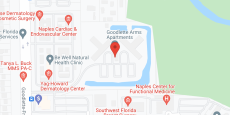 Goodlette Arms Apartments in google map