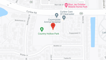 Curlew Care of Clearwater in google map