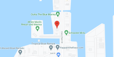 Heron in google map
