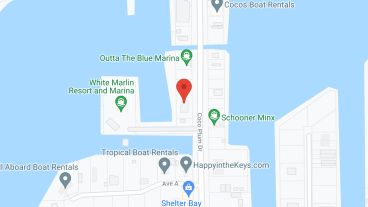 Heron in google map