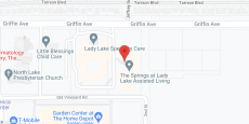 Springs of Lady Lake in google map