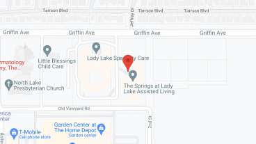 Springs of Lady Lake in google map