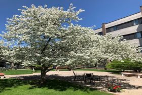 Chapel View Apartments 