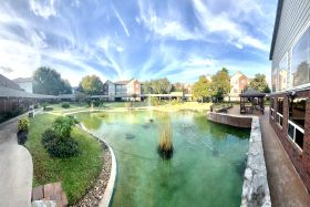 Lone Star Living 