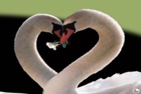 Golden Swan by the Lake Assisted Living and Memory Care 