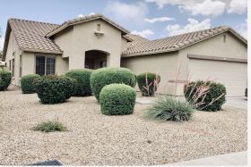 Damaris Assisted Living 