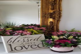 Exclusive Home Care for the Aged 